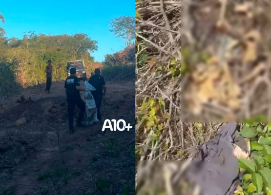 Polícia Civil investiga caso de ossada humana encontrada em área de mata no interior do Piauí