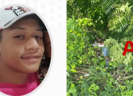 Adolescente encontrado morto em matagal de Teresina tinha passagem por roubo e vício em drogas, diz delegado