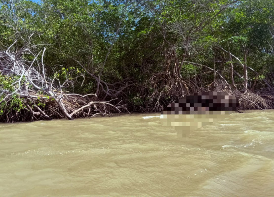 Corpo de homem é encontrado boiando em rio e preso a raízes de mangue no litoral do Piauí