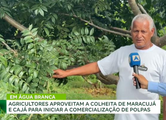 Agricultura familiar transforma produção de frutas em polpas e garante renda no interior do Piauí; assista!