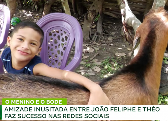 Amizade entre garoto e bode no Piauí viraliza na internet: 