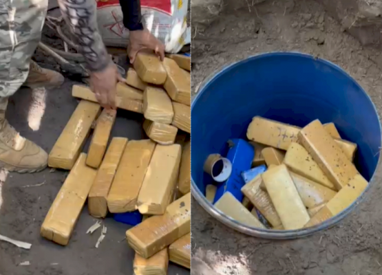 Polícia finaliza operação em sítio do MA que tinha mais de 1 tonelada de drogas; os entorpecentes seriam enviados ao Piauí