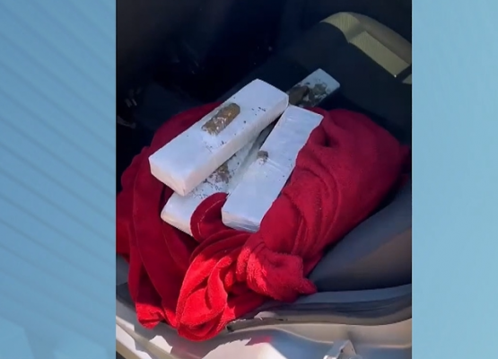Polícia prende suspeito de tráfico que transportava drogas para 