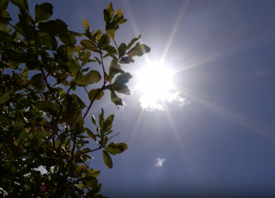 Calor intenso deve continuar por mais três dias no Piauí, com temperaturas acima dos 40°C