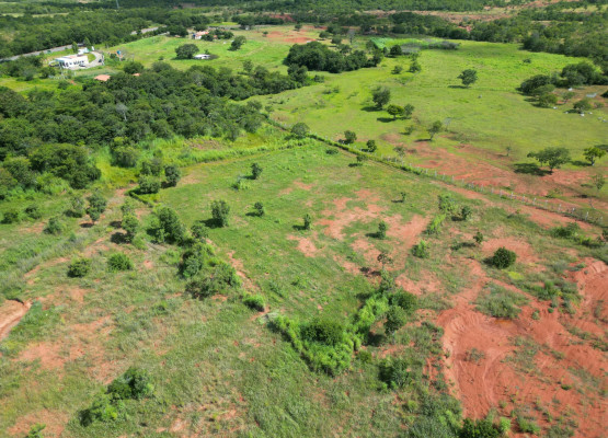 Projeto da Semarh utiliza tecnologia para plantio de mudas e reflorestamento de áreas degradadas pela desertificação em Gilbués