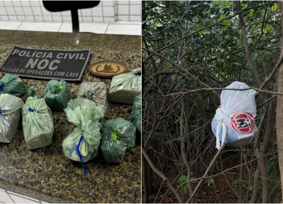 Polícia realiza ação, cumpre mandados e prende quatro pessoas envolvidas com tráfico de drogas no litoral do Piauí