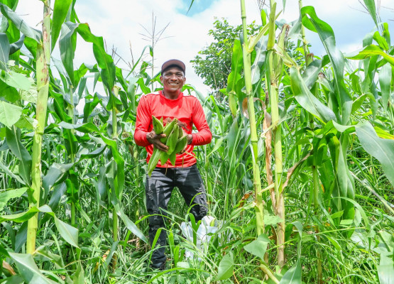 Garantia-Safra 2024/2025 vai beneficiar agricultores de seis municípios do Piauí neste mês de abril