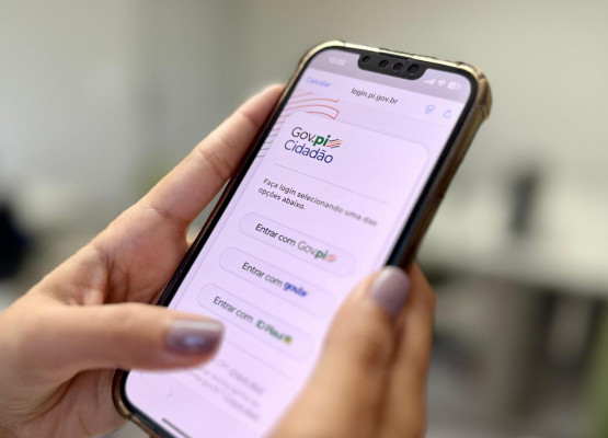 Abrir empresas, consultas médicas e renovar CNH; confira os serviços digitais do Governo do Piauí que podem ser feitos pelo celular