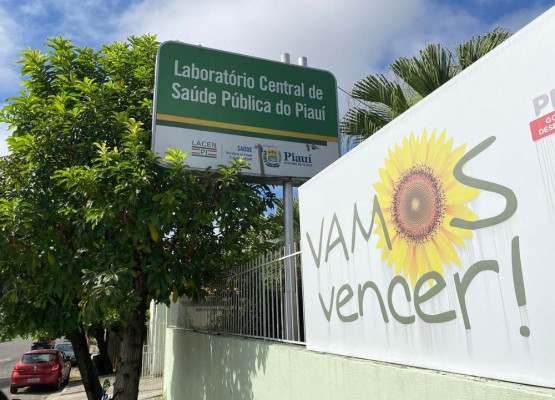 LACEN identifica circulação do subclado K do vírus Influenza A em Teresina; responsável por cerca de 86,8% dos casos