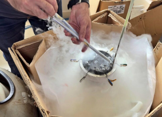 Piauí + Genética inicia nova etapa com 35 mil doses de sêmen e meta de chegar a 50 mil em 2026