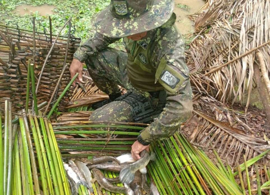 A 10 dias do fim da Piracema, apreensões de pescado aumentam 40% no Piauí; cerca de R$ 40 mil de multas já foram aplicadas