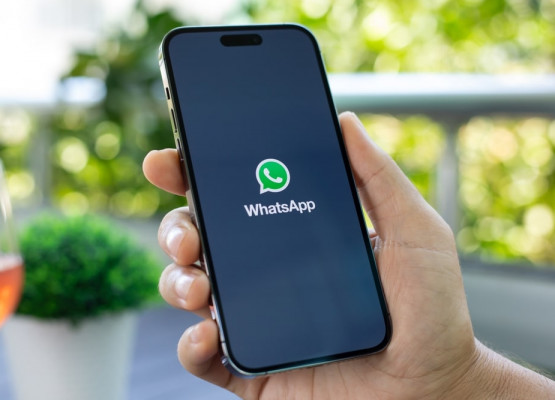 TSE nega ter determinado retirada de canais de WhatsApp do ar e alinha ações com plataformas