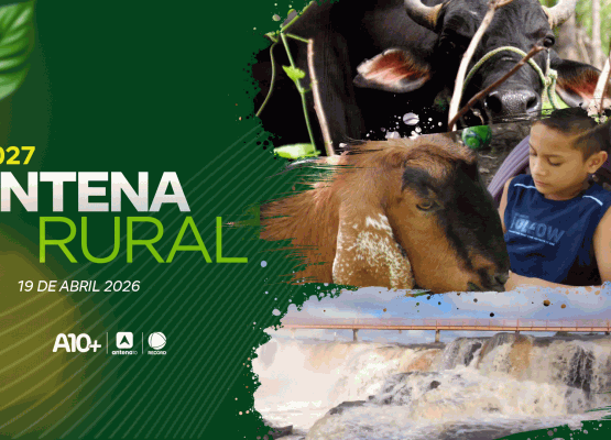 Antena Rural 19.04: cachoeira do Urubu, amizade de menino e bode, criação de galinhas e muito mais; assista!