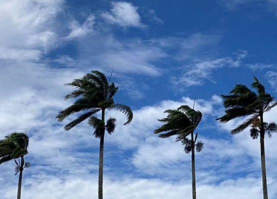 INMET emite alerta de vendaval e perigo por baixa umidade no ar em quase todas as cidades do Piauí; ventos podem chegar a 60 km/h