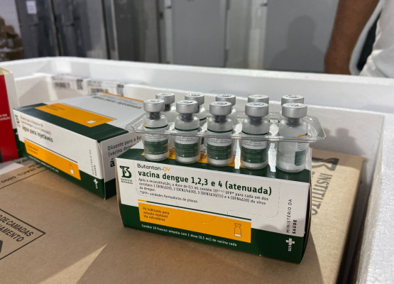 Piauí recebe primeiro lote da vacina contra a dengue para imunizar profissionais de saúde; veja público-alvo