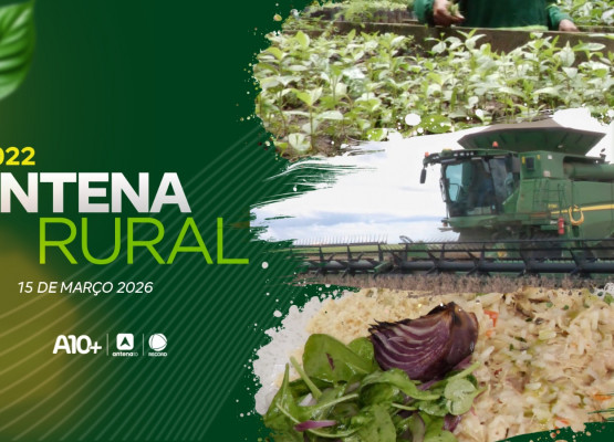 Criação de búfalos, cultivo de cacau e outros temas são destaques do Antena Rural deste domingo 15.03.26