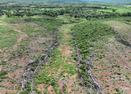 Semarh identifica mais de 1.500 hectares de desmatamento ilegal em operação no Piauí e estima multas de R$ 2 milhões