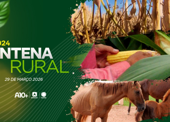 Assista agora ao Antena Rural deste domingo (29.03): Rosas do deserto, receita de moqueca de peixe e muito mais