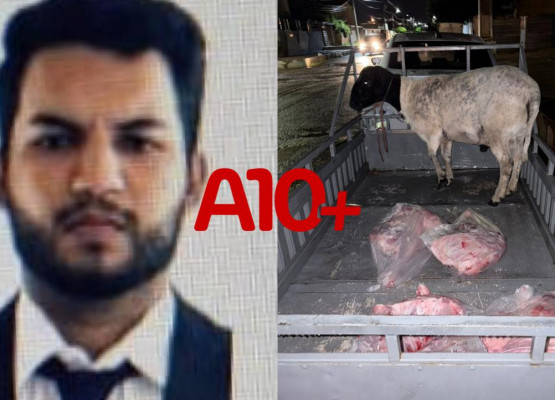 Advogado e comparsa são presos após ameaçar agricultor com arma de fogo e roubar ovelhas e moto no Piauí