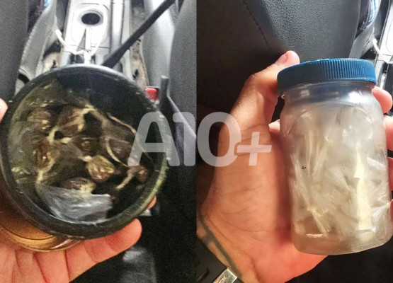 Polícia Militar apreende droga escondida em frascos sob arbustos no litoral do Piauí