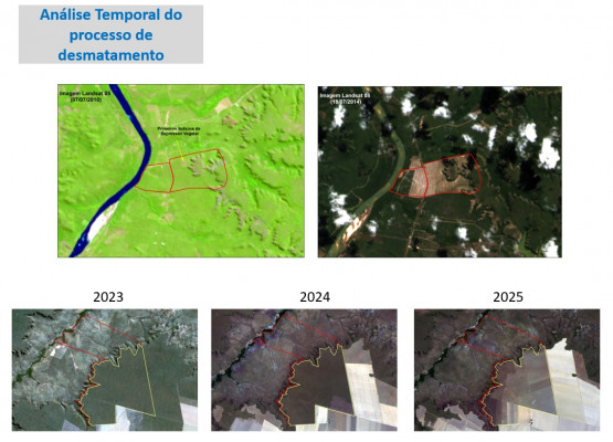 Desmatamento recua quase 60% no Piauí, maior redução entre estados do Cerrado