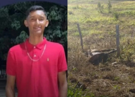Jovem que estava a caminho do trabalho morre após bater motocicleta contra animal solto na pista no Piauí