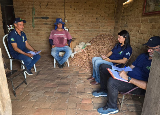 Piauí alcança 100% da meta inicial de vigilância clínica para peste suína clássica