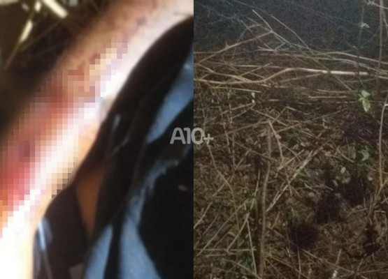 Homem é morto com tiros nas costas no interior do Piauí; polícia investiga
