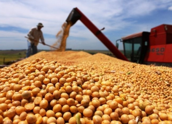Balança Comercial do Piauí registra crescimento de 32,1% nas exportações em julho de 2026