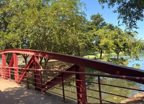 Autorizada licitação para revitalização do Parque Lagoas do Norte, em Teresina