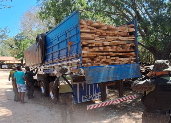 Operação Espera apreende mais de 216 m³ de madeira, aves silvestres e armas no Piauí