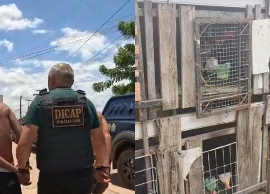Polícia prende dois foragidos, fecha rinha de galo e apreende aves em Timon
