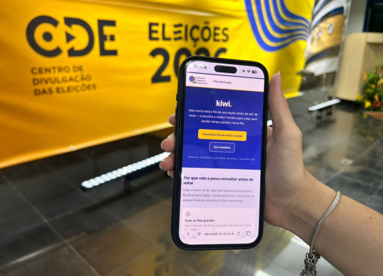 Eleições 2026: Sistema Kiwi ultrapassa 160 mil consultas e ajuda eleitores a acompanhar filas no Piauí