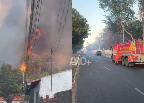 Incêndio de grandes proporções atinge área da Embrapa e Jardim Botânico em Teresina