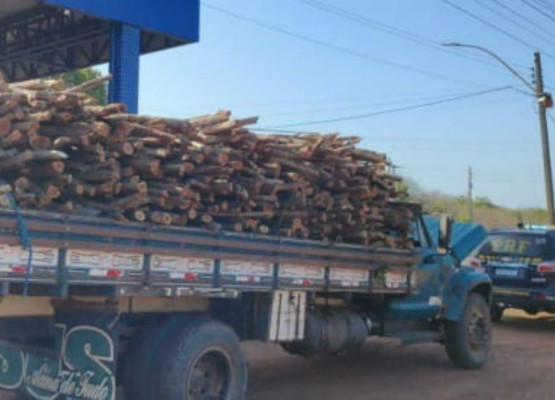 PRF apreende carga de madeira nativa transportada ilegalmente em caminhão no Piauí