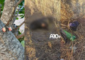 Homem sem identificação é encontrado morto em propriedade no Sul do Piauí; Polícia Civil investiga
