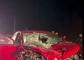 Dois vaqueiros ficam feridos após carro bater em cavalos no interior do Piauí; animais morreram no local