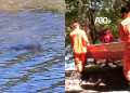 Bombeiros fazem buscas por corpo visto boiando por populares no rio Poti em Teresina