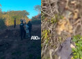 Polícia Civil investiga caso de ossada humana encontrada em área de mata no interior do Piauí