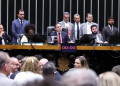 Fim da escala 6×1: confira como votaram os deputados federais do Piauí