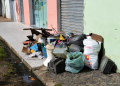 Mutirão contra a dengue: moradores do Pirajá devem colocar entulhos nas calçadas até sexta (31)