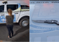 Mulher é detida após invadir escola e agredir criança autista de 12 anos no interior do Piauí