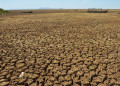 Governo Federal reconhece situação de emergência em 5 cidades afetadas pela seca no Piauí