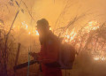 Semarh proíbe queimadas em imóveis rurais até 30 de outubro para prevenir incêndios florestais em todo o Piauí