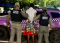 Polícia prende suspeito de perseguir e expor partes íntimas para adolescentes no Piauí; jovens saíam de escola quando foram abordadas