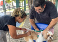 Campanha de vacinação antirrábica de 2026 encerra com mais de 125 mil animais imunizados em Teresina, diz FMS
