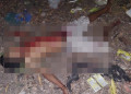 Homem é executado com diversos tiros na zona Norte de Teresina; Polícia Civil investiga o caso