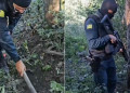 Polícia Militar apreende tabletes de maconha enterrados em área de mata na zona Sul de Teresina