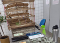 Suspeito de tráfico é preso com drogas, dinheiro e pássaro silvestre em cativeiro no litoral do Piauí