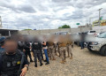 Polícia prende suspeitos de envolvimento com tráfico de drogas no Piauí; “Tio Patinhas” é um dos capturados